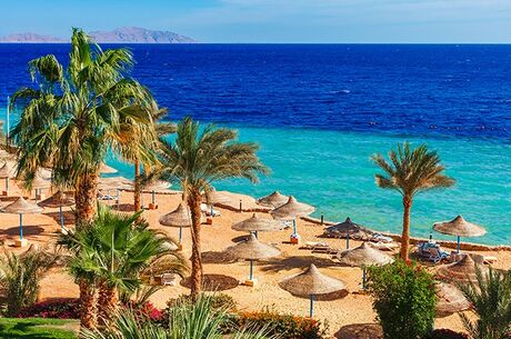 Sharm El Sheikh Turu Ajet Havayolları ile 4 Gece Rixos Premium Seagate Ultra Her Şey Dahil Konaklama