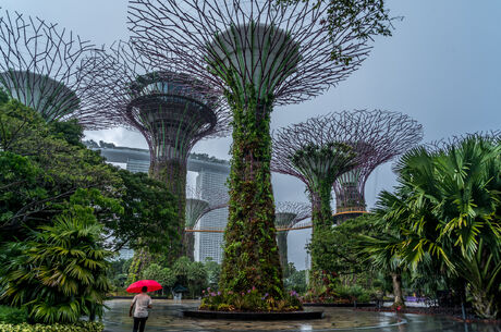 Hong Kong Malezya Singapur Turu Qatar Airways İle 8 Gece 10 Gün