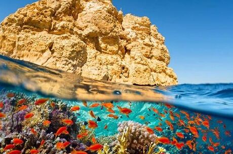 Sharm El Sheikh Turu Ajet Havayolları ile 4 Gece Rixos Premium Seagate Ultra Her Şey Dahil Konaklama