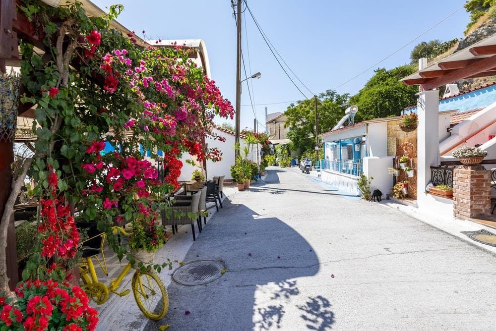 Ege'nin Gizli Cenneti Samos Adası Kuşadası Hareketli ( 3 Gece Konaklamalı Ekonomik )