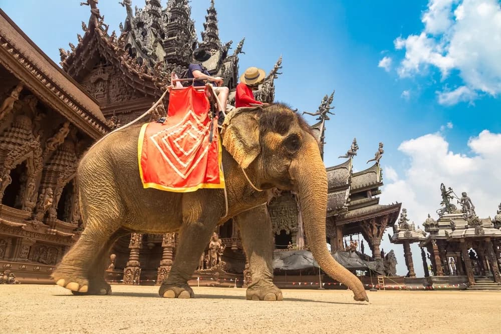 Comfort Phuket & Bangkok & Pattaya Turu Qatar Hava Yolları ile 6 Gece & 8 Gün Ekstra Turlar Dahil HKT - BKK