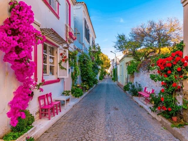 İkonik Gökçeada Bozcaada Bağ Bozumu Turu | 2 Gece Otel Konaklamalı Sakarya İstanbul Çıkışlı