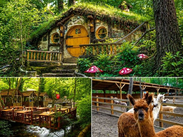 İkonik Masukiye Cam Teras Ormanya Hobbit Evleri Turu | Günübirlik | İstanbul Çıkışlı