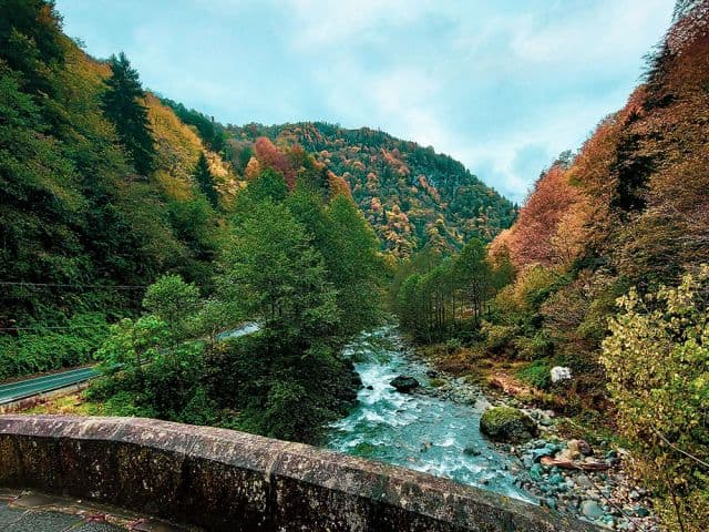 29 Ekim Özel Uçaklı İkonik Butik Doğu Karadeniz Trabzon Rize Artvin Turu | 2 Gece Konaklamalı İstanbul Çıkışlı