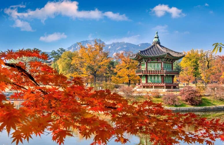 Elit Japonya Kore Turu THY ile 7 Gece Ekstra Turlar Dahil Kurban Bayramı Dönemi