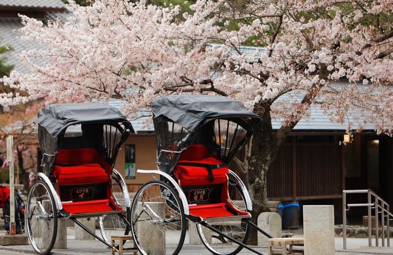 Elit Japonya Kore Turu THY ile 7 Gece Ekstra Turlar Dahil Sakura Dönemi
