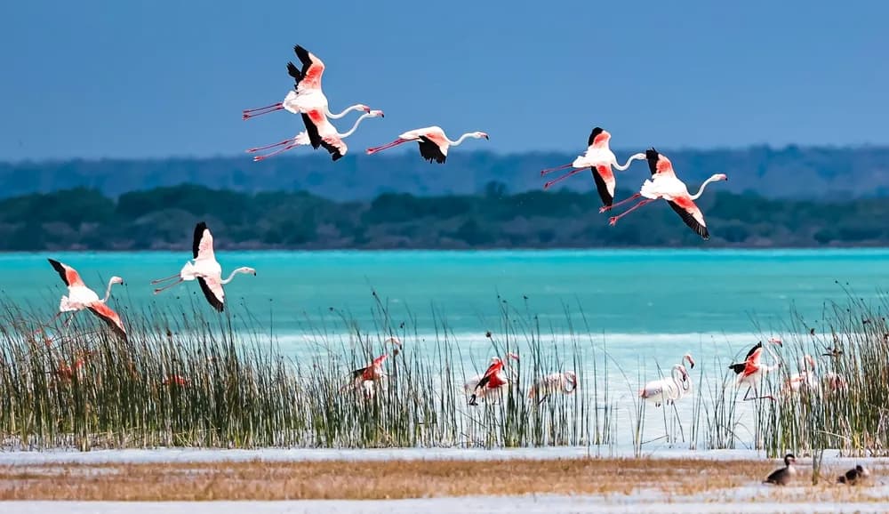 tsingy de bemaraha turu madagaskar
