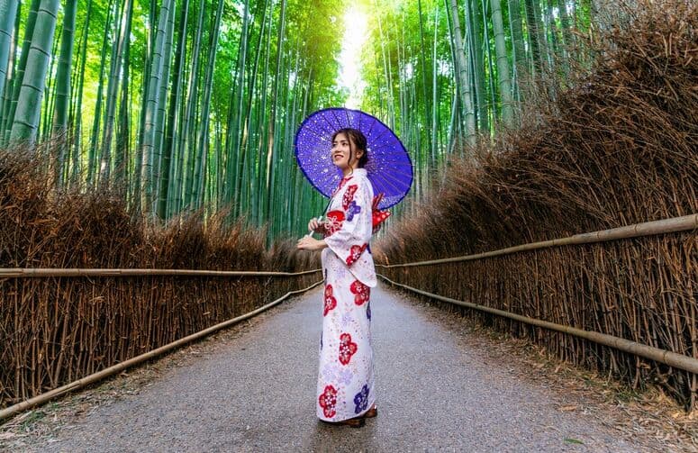 Elit Japonya Kore Turu THY ile 7 Gece Ekstra Turlar Dahil ( ICN - HND ) 3 Temmuz Çıkışlı