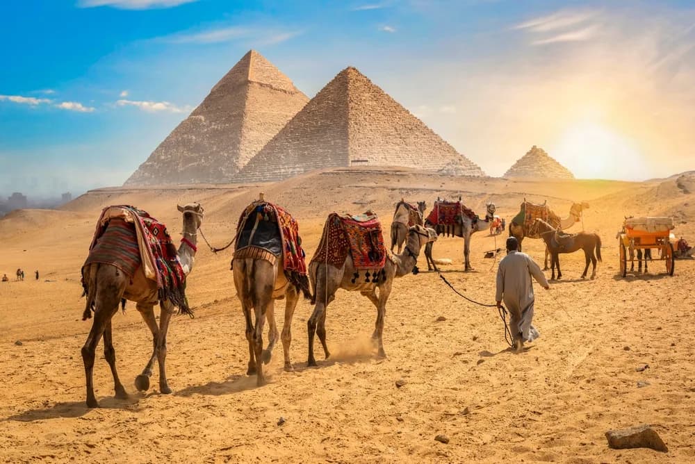 holiway travel camel giza pyramids sunset