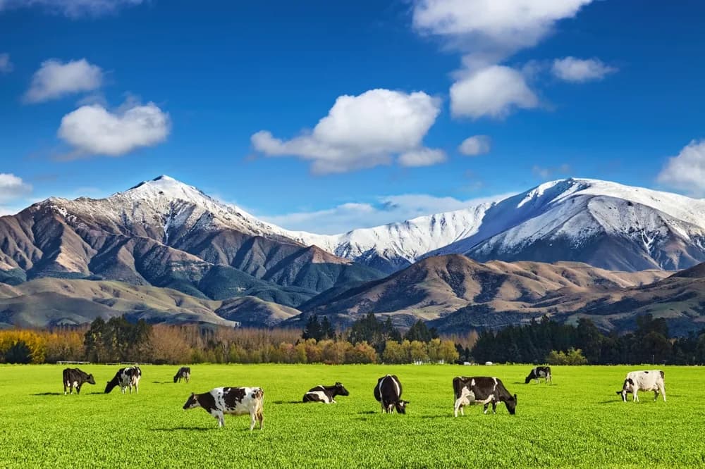 yeni zelanda tur programi ve fiyatlari