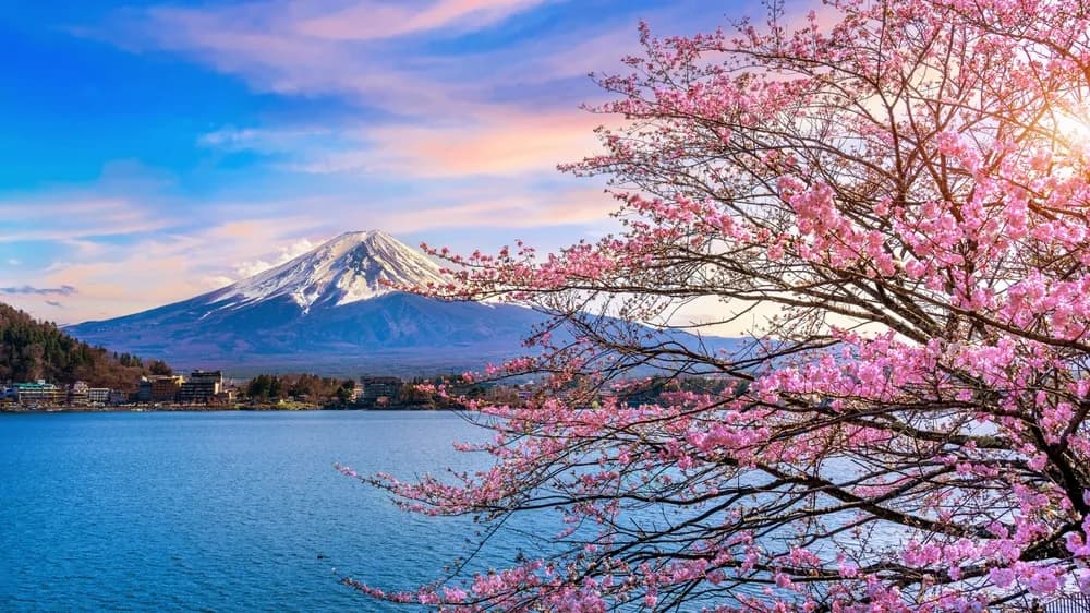 holiway travel japonya fuji dagi manzara