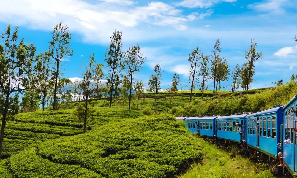 sri lanka tur programi ve fiyatlari
