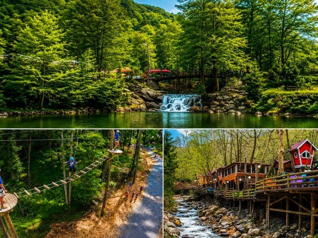 İkonik Masukiye Cam Teras Ormanya Hobbit Evleri Turu | Günübirlik | İstanbul Çıkışlı