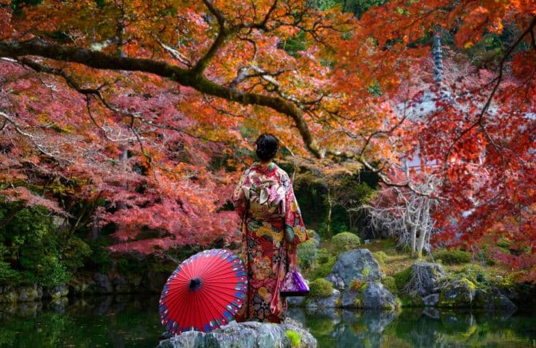 Elit Japonya ve Kore Turu THY ile 7 Gece Ekstra Turlar Dahil (NRT-ICN) Koyo Dönemi