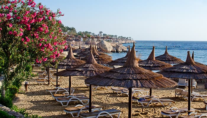 Sharm El Sheikh Turu Kurban Bayramı Özel Türk Havayolları ile 5 Gece 6 Gün (17-22Mayıs)