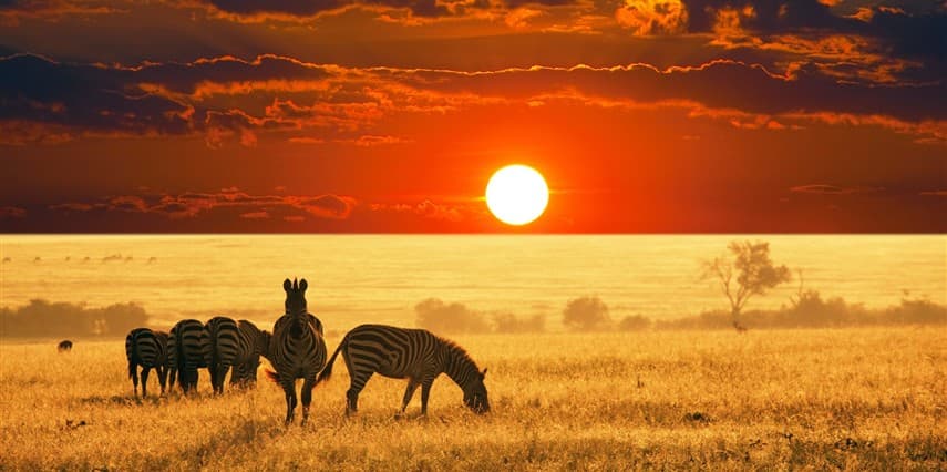 Büyük Afrika 4 Ülke Turu Türk Havayolları İle 11 Gece 12 Gün