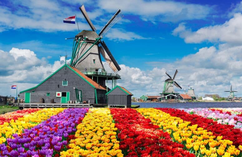 Elit Hollanda Amsterdam Turu THY ile 3 Gece Ekstra Turlar Dahil 29 Ekim Dönemi