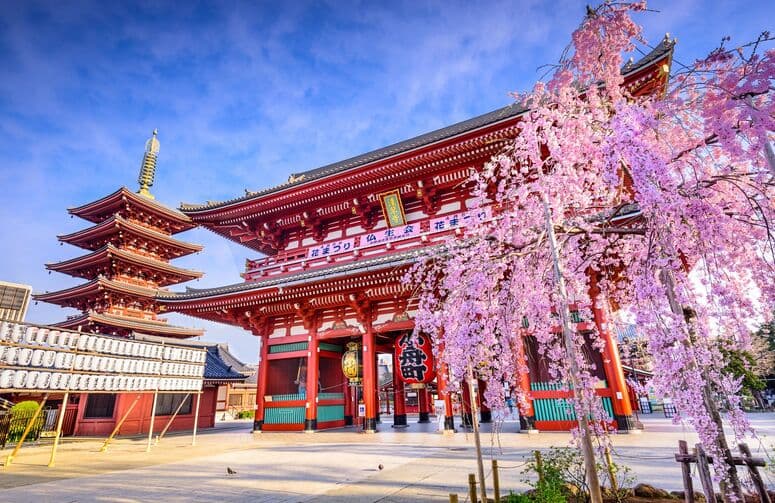 Elit Japonya Turu THY ile 6 Gece Ekstra Turlar Dahil ( NRT-KIX )