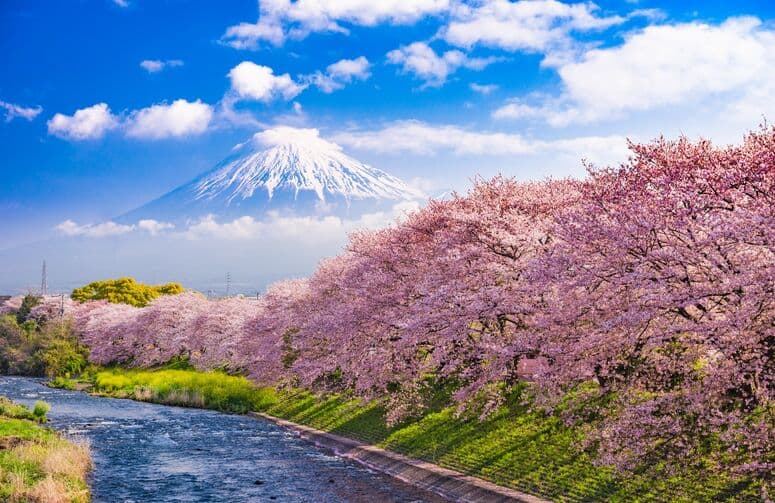 Elegant Japonya Turu THY ile 7 Gece Ekstra Turlar Dahil
