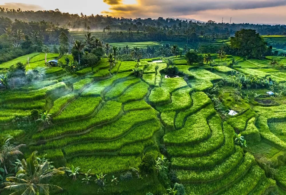 Bali & Ubud Serüveni Turu Türk Havayolları ile 6 Gece (DPS-DPS)