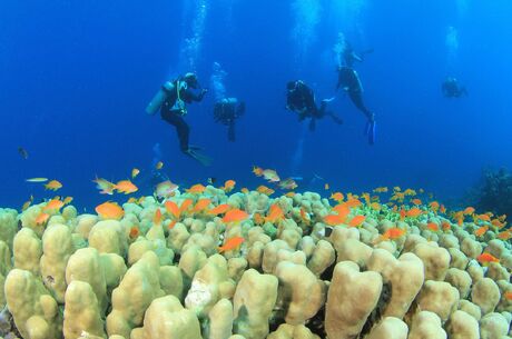 Antalya Hareketli, Sharm (3) - Vizesiz - Kış Dönemi