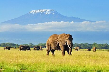 Kenya Safari Turu Air Arabia Havayolları ile Her Pazar Hareket