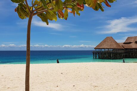 Zanzibar Turu Qatar Havayolları İle Her Cuma Hareket 7 Gece 9 Gün FIT