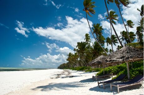Zanzibar Turu Qatar Havayolları İle Her Cuma Hareket 7 Gece 9 Gün FIT
