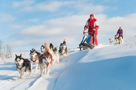 Kuzey Işıkları Lapland THY İle 8 Gece 9 Gün