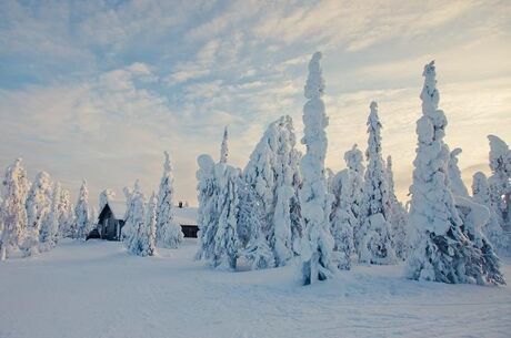 Kuzey Işıkları Lapland THY İle 8 Gece 9 Gün