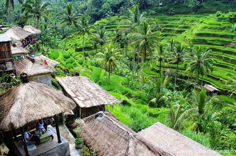 Rüya Ada Bali - Ubud Turu 5 Gece  Qatar Havayolları ile Kurban Bayramı Özel