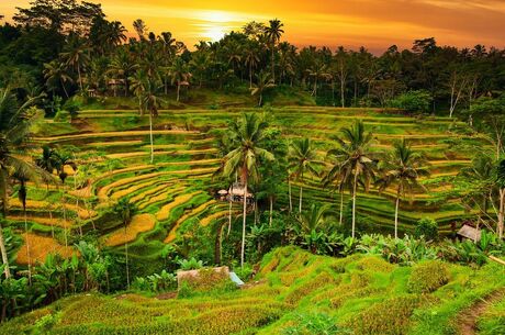 Rüya Ada Bali - Ubud Turu 5 Gece  Qatar Havayolları ile Kurban Bayramı Özel