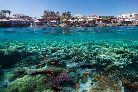 Promosyon Sharm El Sheikh Turu Ajet Havayolları ile 5 Gece Otelden Erken Çıkışlı