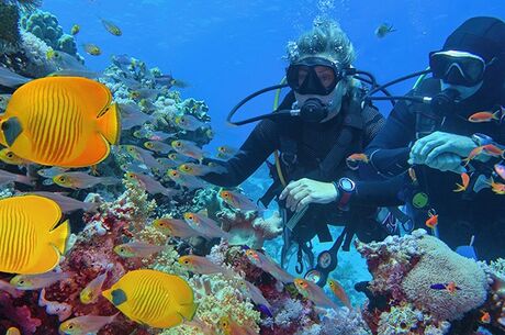 Sharm El Sheikh Turu Ajet Havayolları ile 5 Gece Her Şey Dahil Oteller