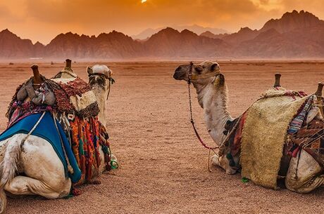 Sharm El Sheikh Turu Ajet Havayolları ile 5 Gece Her Şey Dahil Oteller